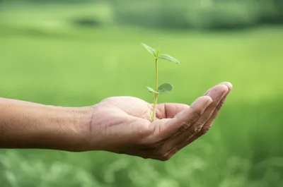 Illustration knuckled - Image 1