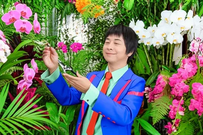 Illustration fruits - Image 1