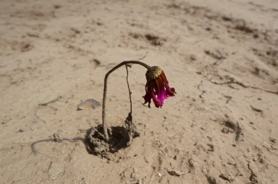 Illustration worsening - Image 1