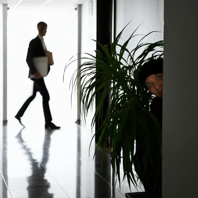 Illustration skulking - Image 1