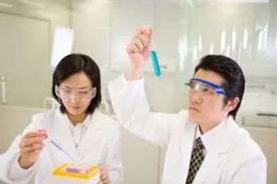 Illustration artifact - Image 3