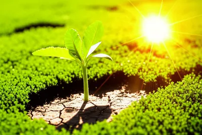 Illustration enhancing - Image 1