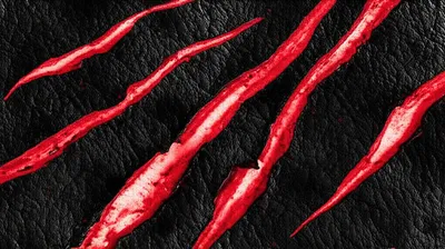 Illustration gashes - Image 1