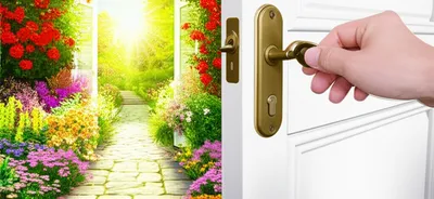 Illustration authorization