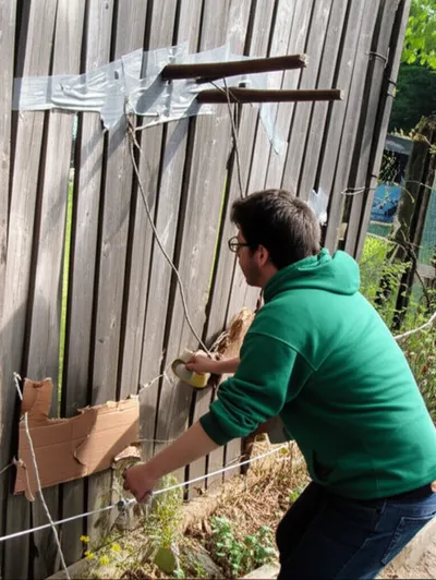 Illustration rigging - Image 1