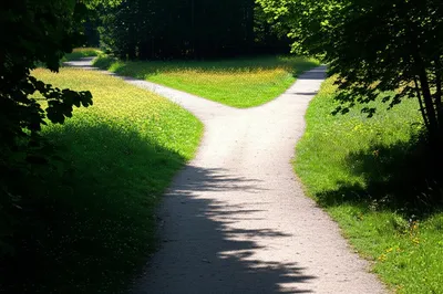 Illustration diverging - Image 1