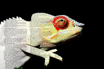 Illustration verbalise - Image 1