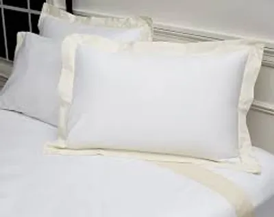 Illustration sham - Image 2