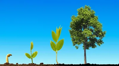 Illustration accelerating - Image 1