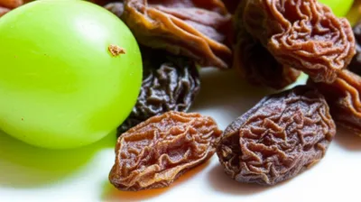 Illustration raisin - Image 1