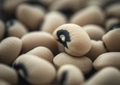 Illustration eye - Image 1