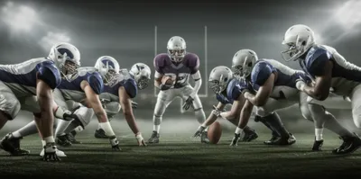 Illustration wildcat - Image 1