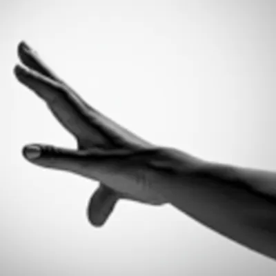 Hình ảnh minh họa open - Ảnh 1