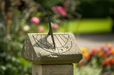 Illustration cocks - Image 1