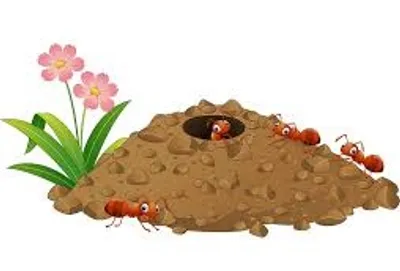 Illustration anthill - Image 2