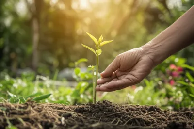 Illustration tuition - Image 1