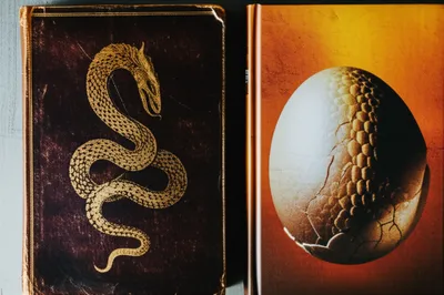 Illustration sequel - Image 1