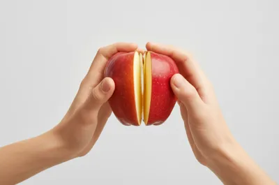 Illustration divides - Image 1