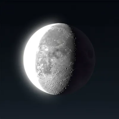 Illustration waxes - Image 1