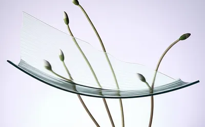 Illustration tender - Image 1