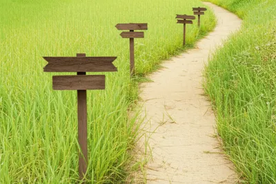 Illustration trace - Image 1