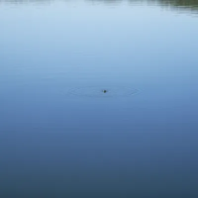 Illustration ripple - Image 1