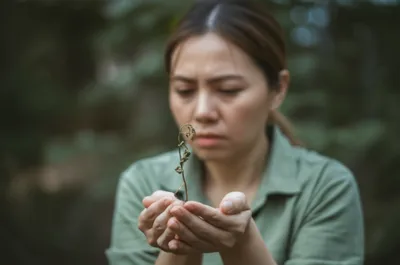 Illustration concerns - Image 1