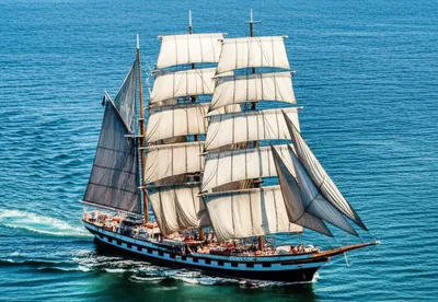 Illustration back - Image 1