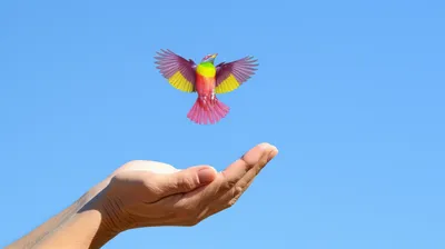 Illustration relinquish - Image 1