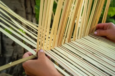 Illustration basses - Image 1