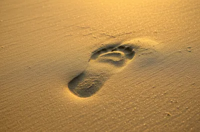 Illustration print - Image 1