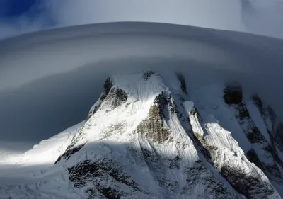 Illustration helms - Image 1