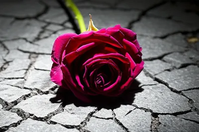 Illustration prostitute - Image 1