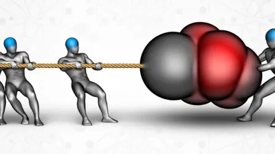 Illustration heaviest - Image 1