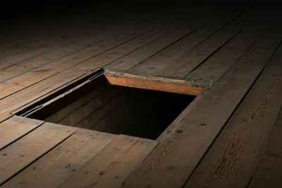 Illustration hatches