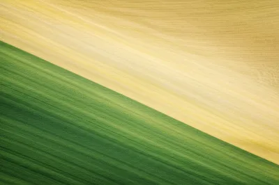 Illustration gradation - Image 1