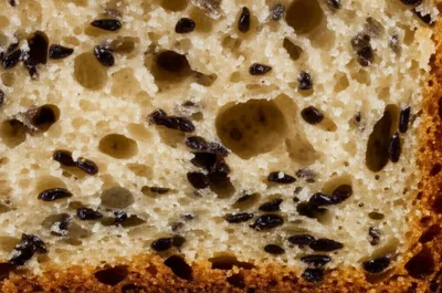 Illustration caraway - Image 1