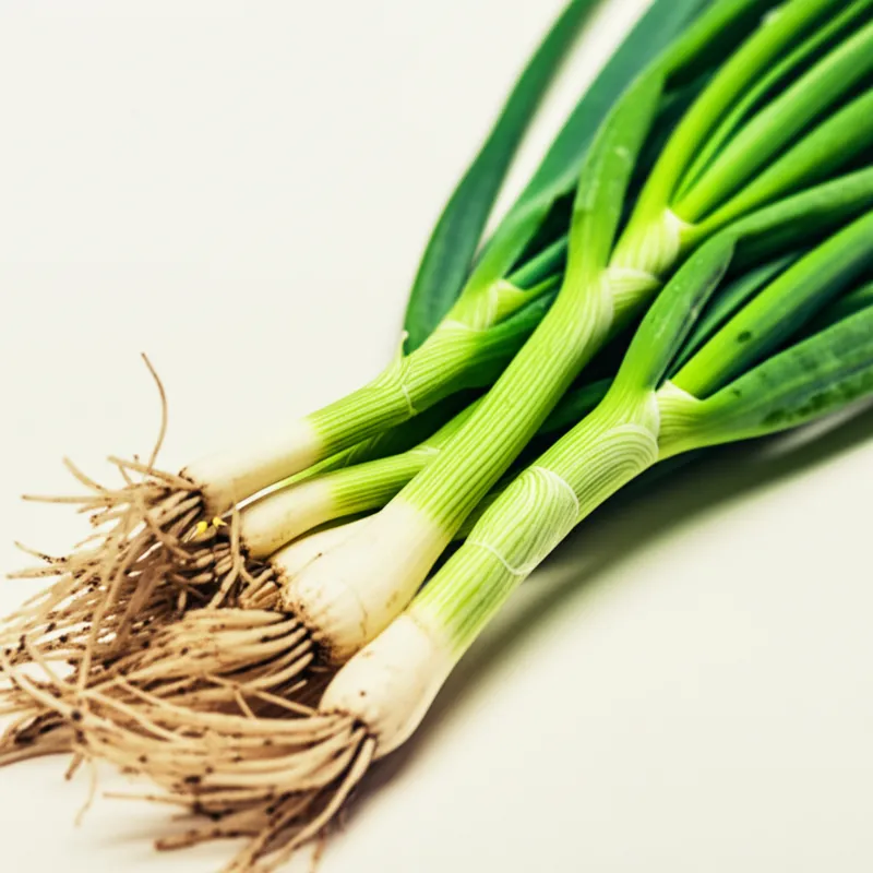 「scallions」の視覚的なイラスト - わけぎ, 葱