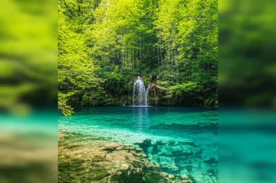 Illustration purer - Image 1