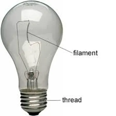 Illustration filament - Image 2