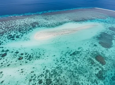 Illustration shelf - Image 1