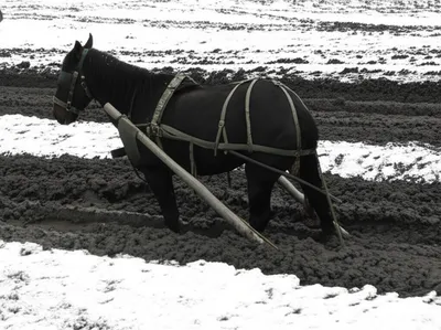 Illustration stalls - Image 1