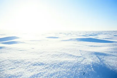 Illustration candour