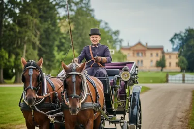 Illustration coacher - Image 1