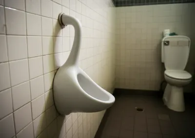 Illustration ducks - Image 1