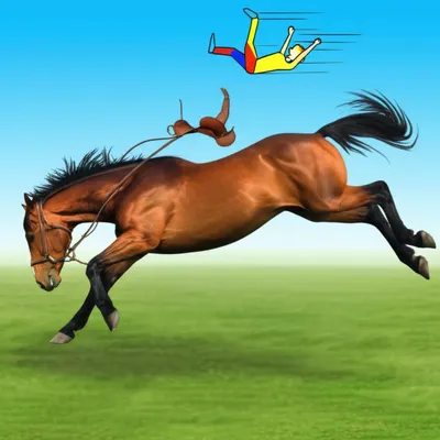 Illustration bucks - Image 1