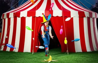 Illustration imbecile - Image 1