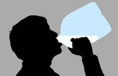 Illustration gulp - Image 2