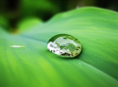 Illustration superficies - Image 1