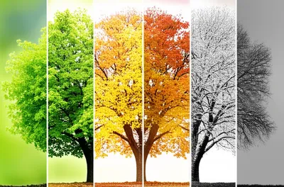 Illustration seasons - Image 1